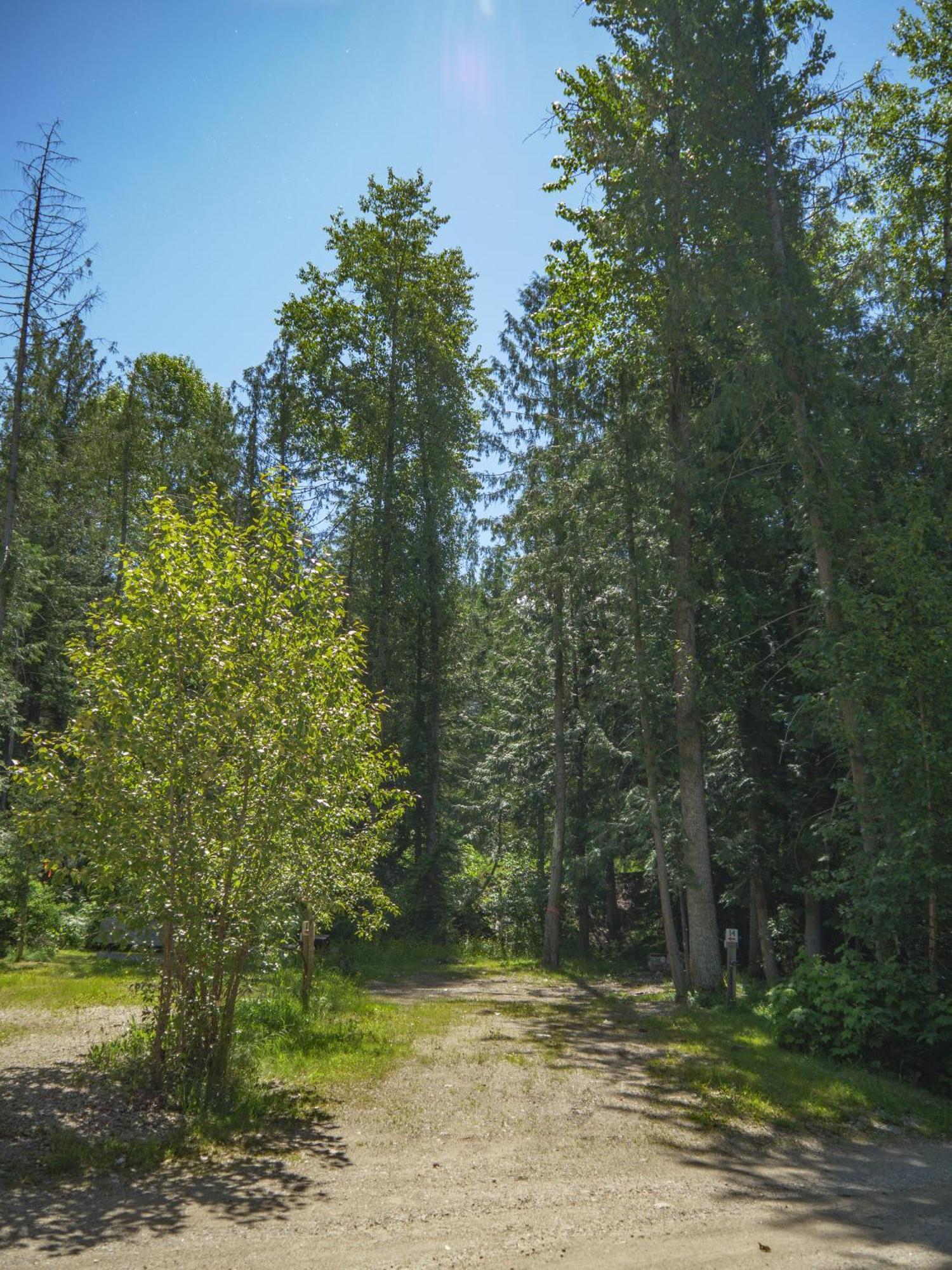Noah'S Ark Campground Revelstoke Buitenkant foto
