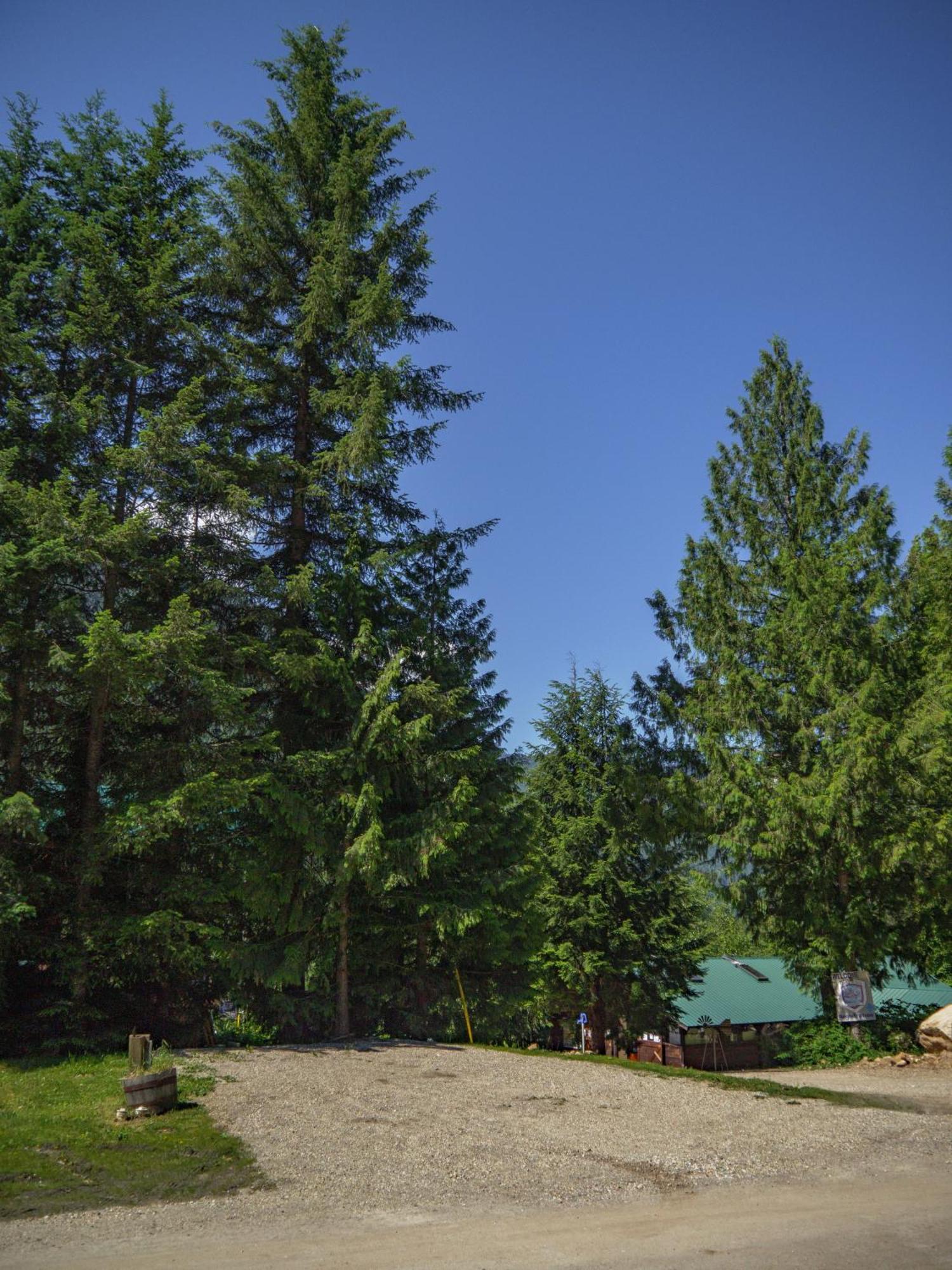 Noah'S Ark Campground Revelstoke Buitenkant foto